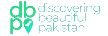 logo icon